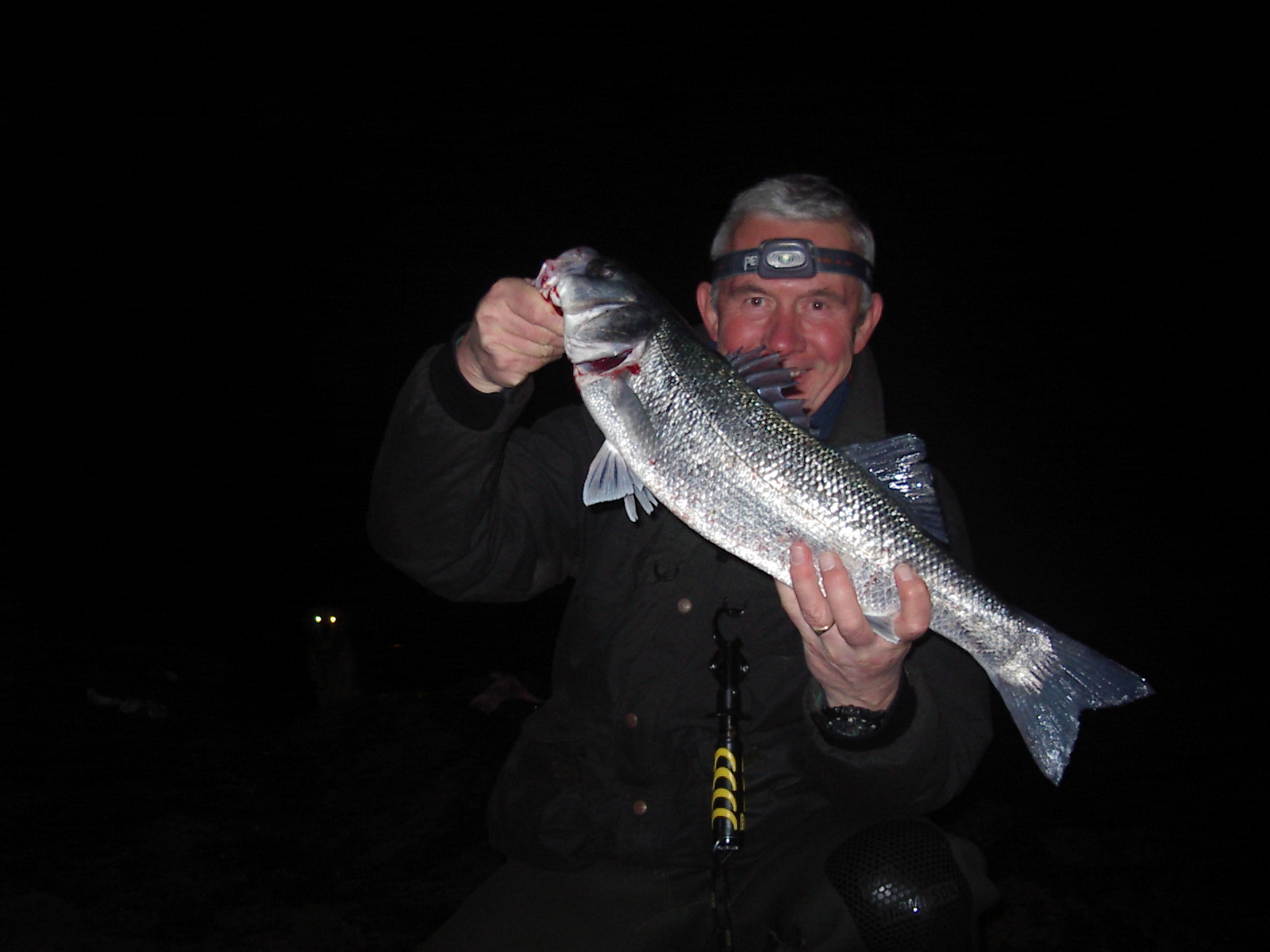 Nighttime Stripers: Live Eeling Done Right - The Fisherman